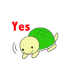 かめきちくん（個別スタンプ：13）