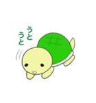 かめきちくん（個別スタンプ：30）