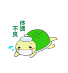 かめきちくん（個別スタンプ：31）