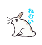 うさぎのぺろちゃん（個別スタンプ：7）