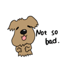 Kawaii dogs (Only English)（個別スタンプ：38）