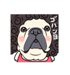 フレンチブルドッグフレンド（個別スタンプ：36）