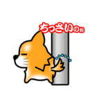 やんちゃなチワワ（個別スタンプ：24）