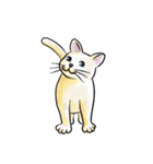 ねこめっせ（個別スタンプ：10）