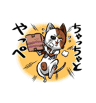 第2弾・仙台弁猫マサムネスタンプ（個別スタンプ：22）