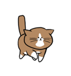 鴻池剛と猫のぽんた（個別スタンプ：5）
