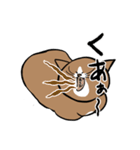 鴻池剛と猫のぽんた（個別スタンプ：9）
