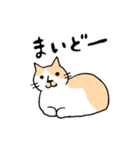 関西弁のねこ氏（個別スタンプ：5）