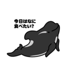 クジラとかイルカとかシャチとか（2）（個別スタンプ：16）