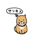 ニュアンス使い分けスタンプ（柴犬）（個別スタンプ：10）