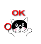 猫の瑠瑠(Llulue)です。（個別スタンプ：1）