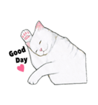 マイペースな猫たちのスタンプ（個別スタンプ：3）