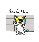 三毛さま4（個別スタンプ：14）