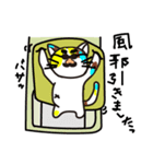 三毛さま4（個別スタンプ：31）