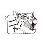リアル吹き出し（個別スタンプ：38）