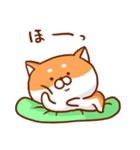 ぷちしば（個別スタンプ：18）