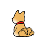 柴犬のしっぽ（個別スタンプ：5）