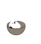 ちーちー（個別スタンプ：37）