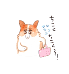 うちのマイロ3 おしゃべり編（個別スタンプ：9）