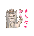 ちょんまげトイプー＆ヨーキー（個別スタンプ：33）