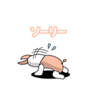 簡単単語うさぎ型ロボ（個別スタンプ：31）