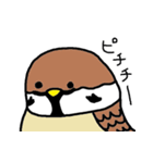 鳥だらけ（個別スタンプ：7）