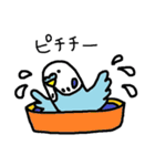 鳥だらけ（個別スタンプ：17）