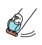 鳥だらけ（個別スタンプ：31）