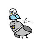 鳥だらけ（個別スタンプ：33）