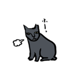 ブサ猫馬場男（個別スタンプ：34）