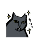 ブサ猫馬場男（個別スタンプ：37）