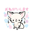 ちまちまチワワ（クリームロングコート）（個別スタンプ：7）