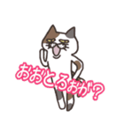 どら猫de田川弁 その1（個別スタンプ：40）
