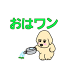 ゴールデン・レトリバーのサンタナ君（個別スタンプ：1）