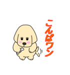 ゴールデン・レトリバーのサンタナ君（個別スタンプ：3）
