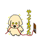 ゴールデン・レトリバーのサンタナ君（個別スタンプ：12）