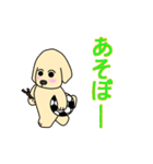 ゴールデン・レトリバーのサンタナ君（個別スタンプ：13）
