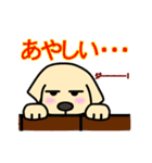 ゴールデン・レトリバーのサンタナ君（個別スタンプ：21）