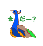 麻雀鳥（個別スタンプ：36）