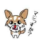 怠惰でカワイイ犬のいもちゃん（個別スタンプ：36）