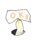 セキセイインコ（個別スタンプ：1）