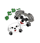 日常会話シュナウザー①（個別スタンプ：9）