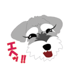 日常会話シュナウザー①（個別スタンプ：14）