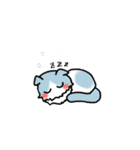 スコもち。（個別スタンプ：1）