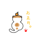 スコもち。（個別スタンプ：7）