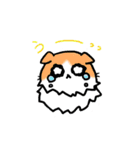 スコもち。（個別スタンプ：12）