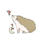 ハリネズミのおはぎくんとみるこちゃん（個別スタンプ：5）