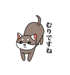 フェレット！（個別スタンプ：29）