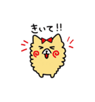 愛犬ぽめ〜わんこ〜（個別スタンプ：15）