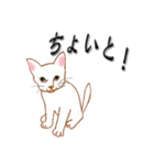 白猫 たま吉とその仲間達の下町暮らし（個別スタンプ：3）
